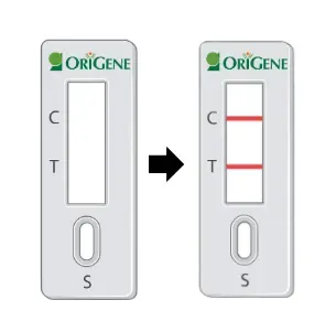 Product Card Image