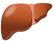 NAFLD image