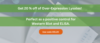 20 Percent off OEL Promo