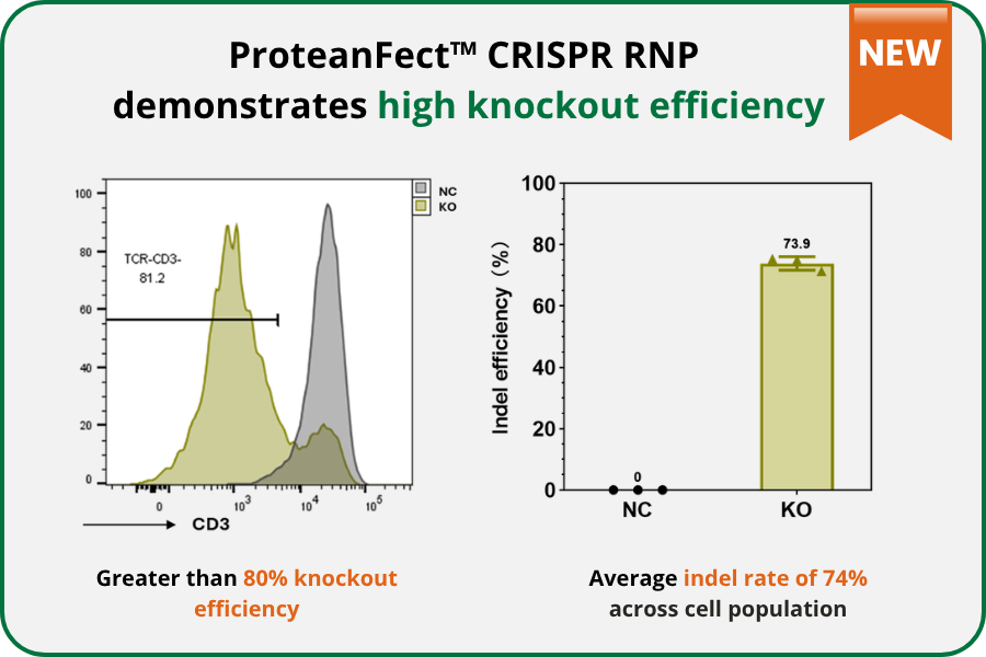 Proteanfect CRISPR RNP Transfection Kit
