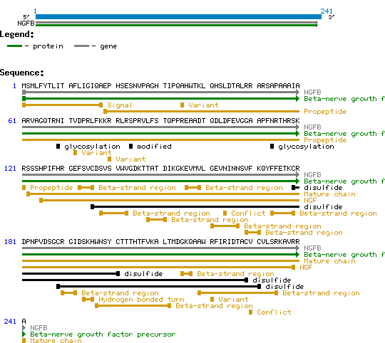 ProNGF protein structure and sequence