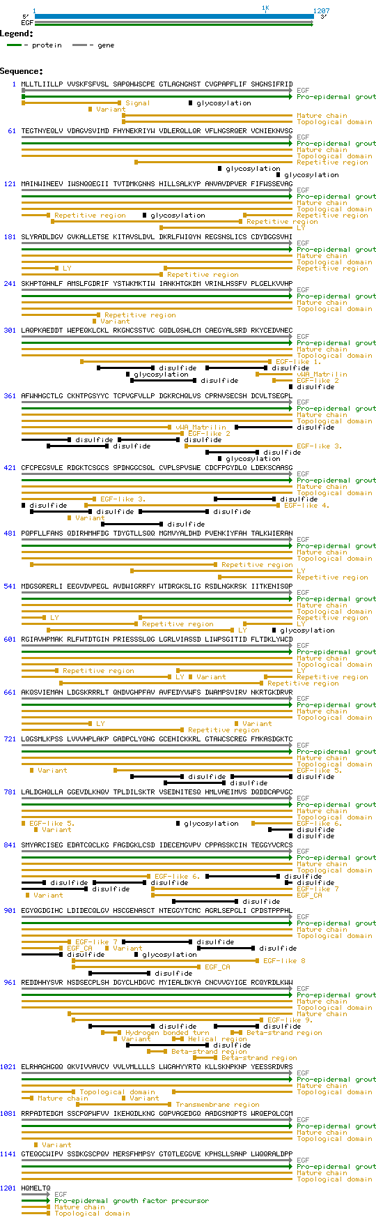 EGF protein structure and sequence