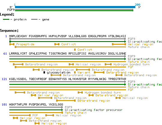 FGF-9 protein structure and sequence