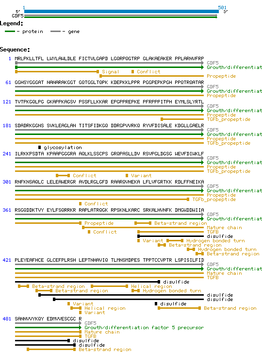 BMP14 / GDF5 Human Protein