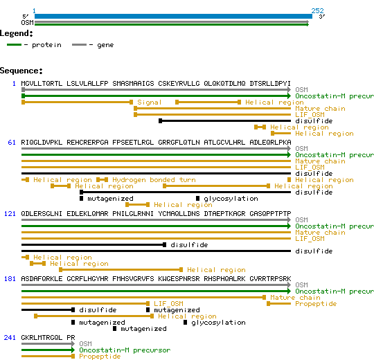 Oncostatin-M structure and sequence.