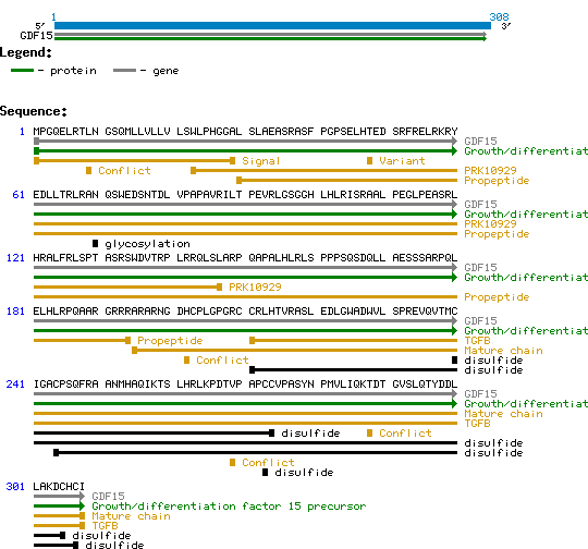 Heregulin-B2 structure and sequence