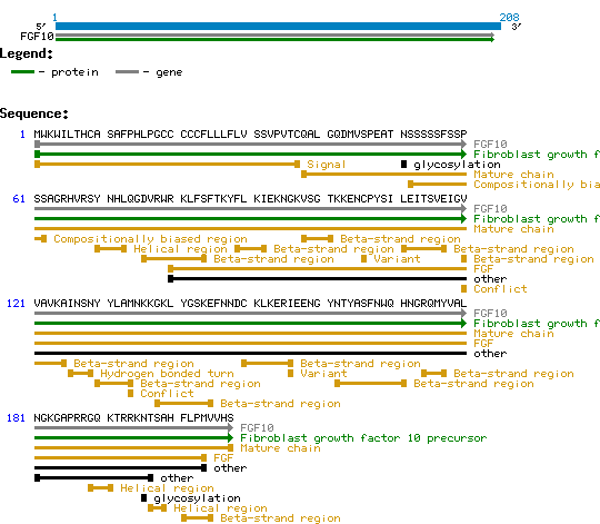 KGF-2 structure and sequence