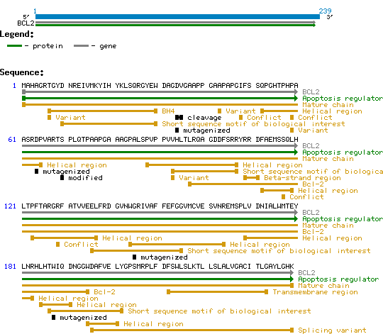 BCL2 Structure and Sequence.