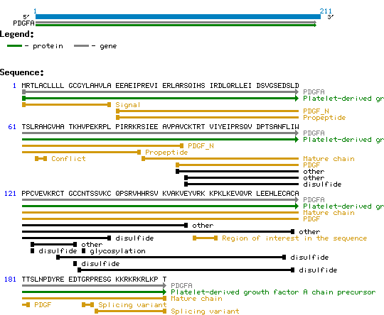 PDGF-A Structure and Sequence.