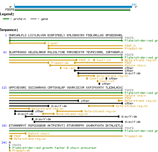 PDGF-B Structure and Sequence.