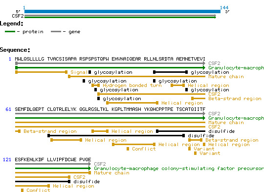 G-CSF Mouse Protein
