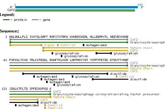 GM-CSF Mouse Structure and Sequence.