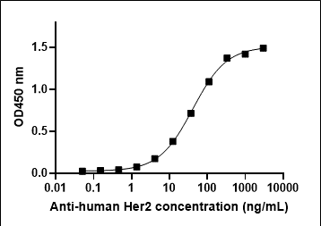 Human HER2 protein (C-His) is coated at 200ng/well. Anti-Her2 antibody can detect the Her2 protein. The ED50 is about 41.25 ng/mL. .