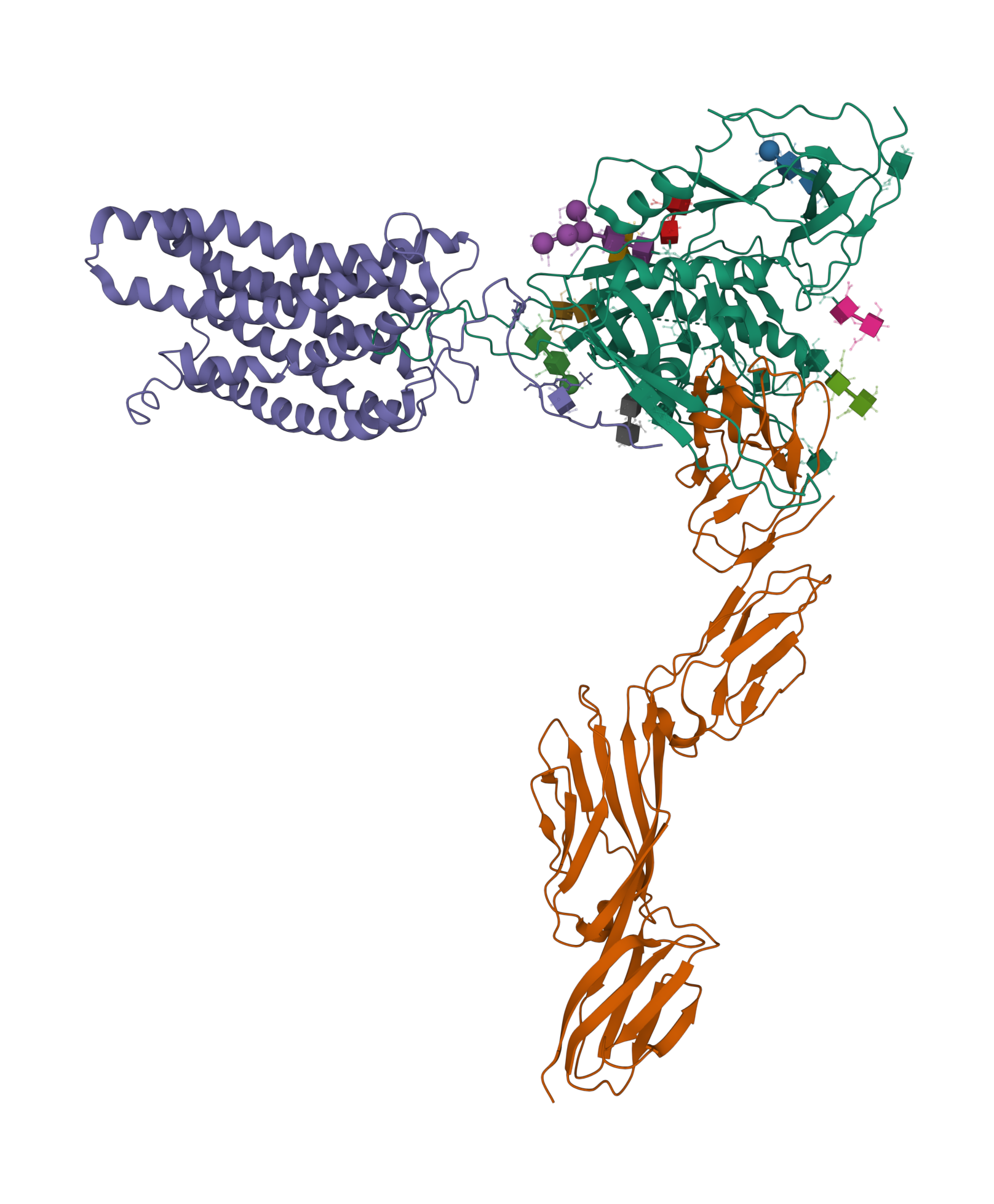 CCR5 Product Image