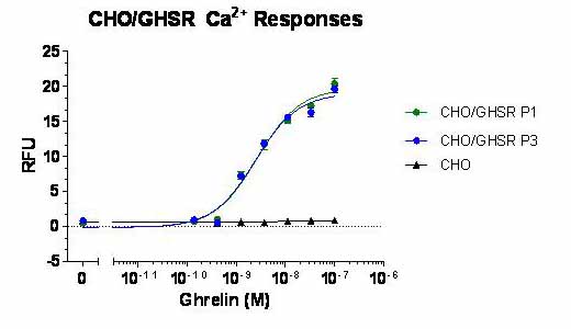 Figure 1. Calcium dose-response for ghrelin stimulation of CHO/GHSR cells compared to untransfected CHO-K1 cells. The passage 1and passage 3 of CHO/GHSR cells that stably express the GHSR (Green and blue circles) or untransfected CHO-K1 cells which is the same passage as CHO/GHSR MCB (black triangle) were loaded with Fluo-4 NW (Invitrogen), then stimulated with the indicated concentration of ghrelin. The change in intracellular calcium was measured by a FlexStation III fluorescent plate reader. Data poins represent the average+/- standard deviation of triplicate determinations.