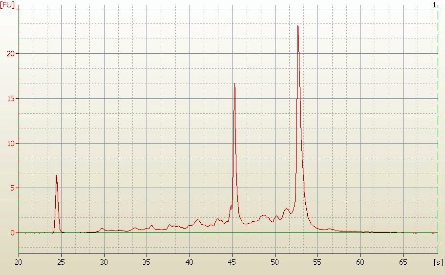 RNA Electropherogram Image