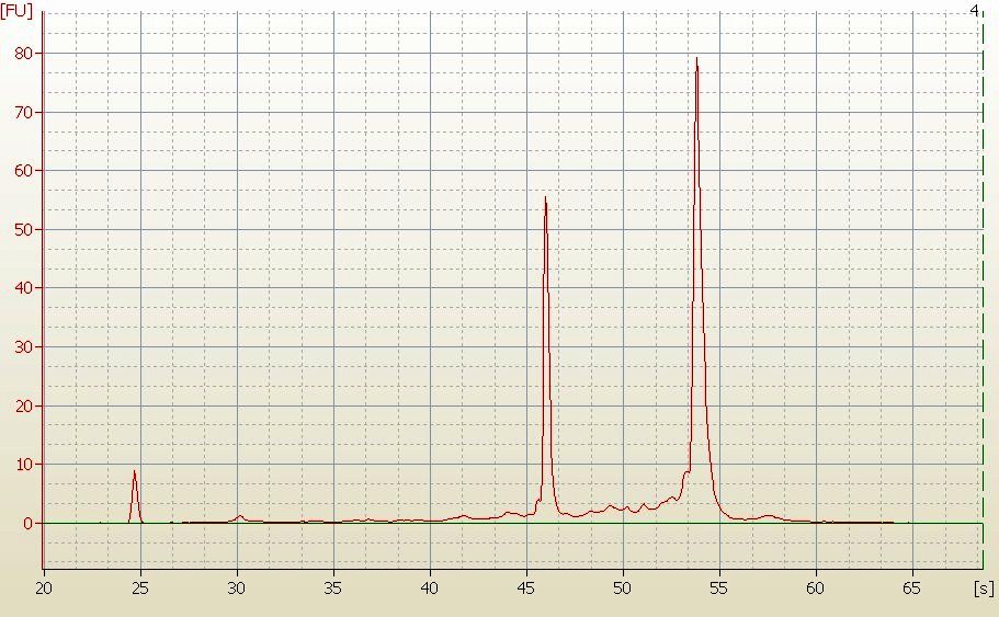 RNA Electropherogram Image