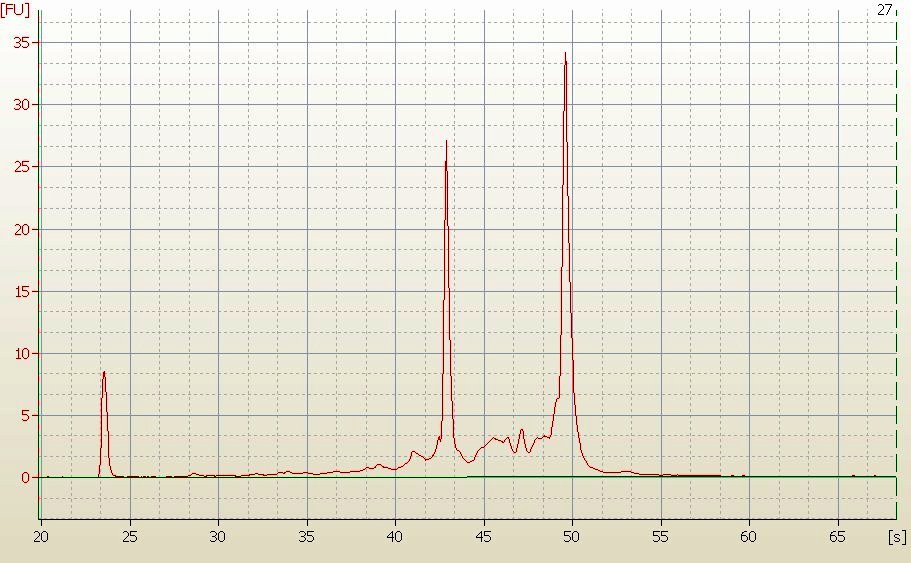 RNA Electropherogram Image