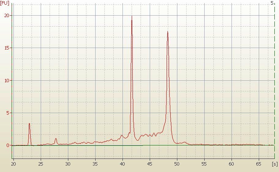 RNA Electropherogram Image