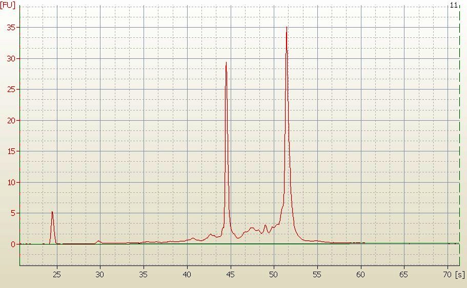 RNA Electropherogram Image