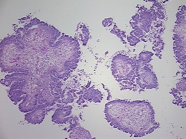 4x Image