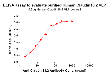 Validation Data