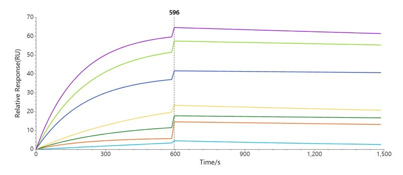 Validation Data Image 3