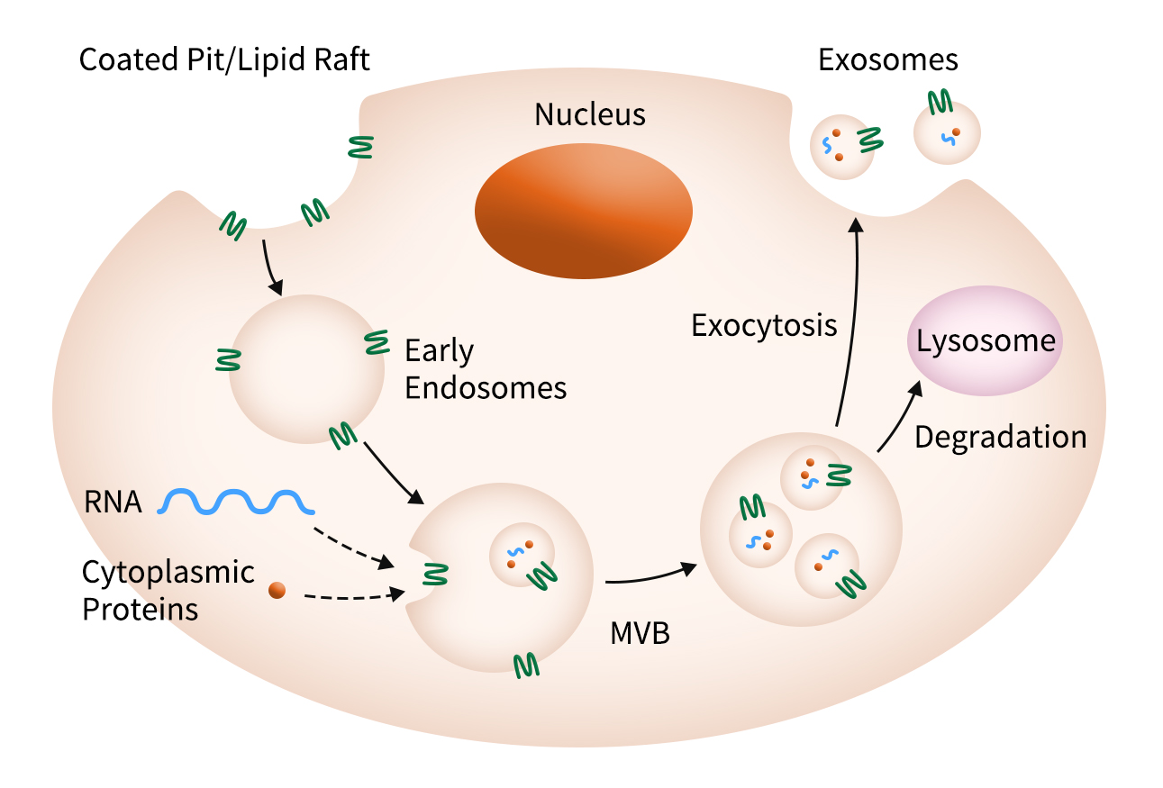 Nanodisc Workflow