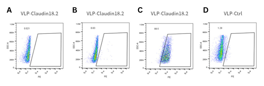 Validation Data