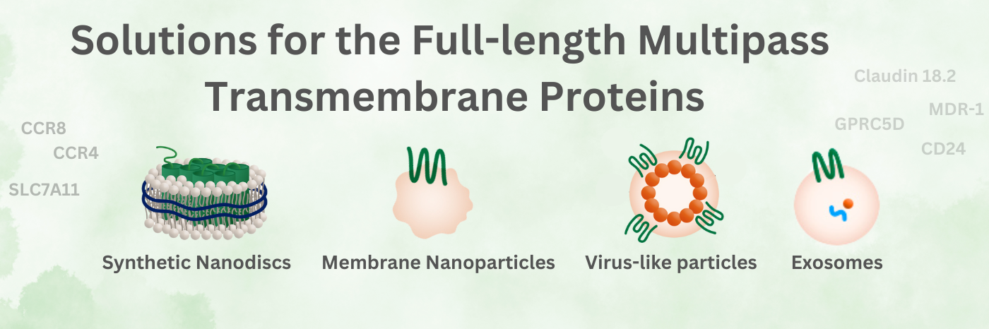 Solutions for Full-length Multipass Transmembrane Protein Banner