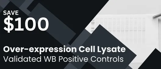 Save $100 on Over-expression Cell Lysates