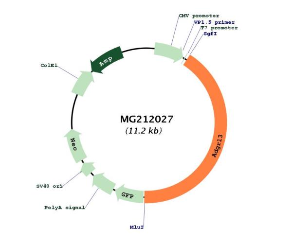 Circular map for MG212027