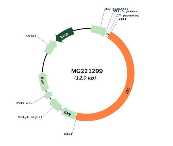 Circular map for MG221299