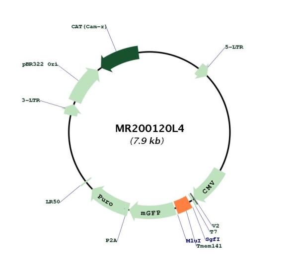 Circular map for MR200120L4