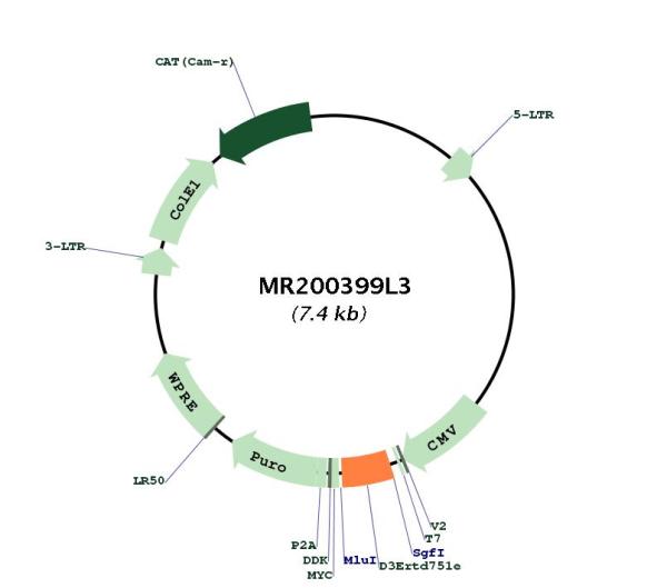 Circular map for MR200399L3