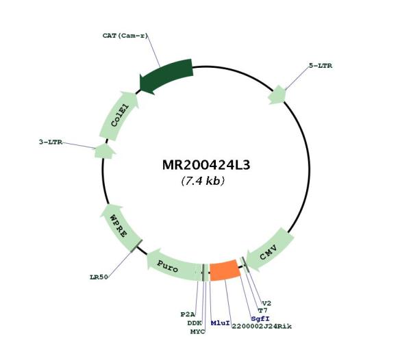 Circular map for MR200424L3