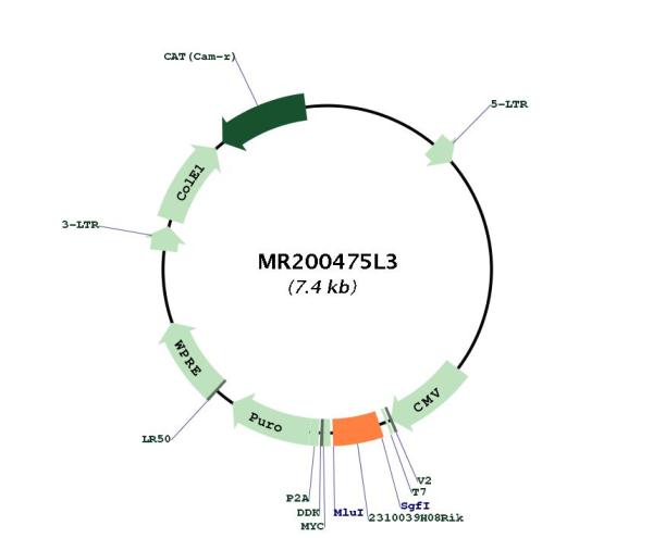 Circular map for MR200475L3