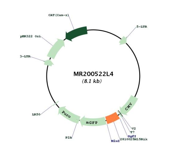 Circular map for MR200522L4