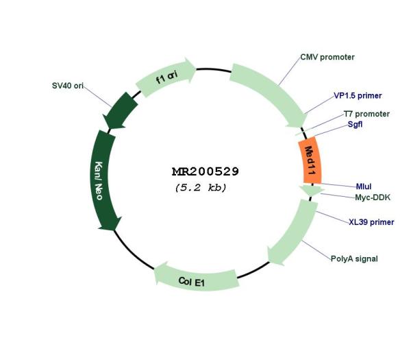 Circular map for MR200529