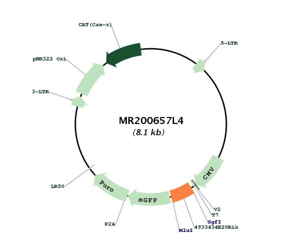 Circular map for MR200657L4