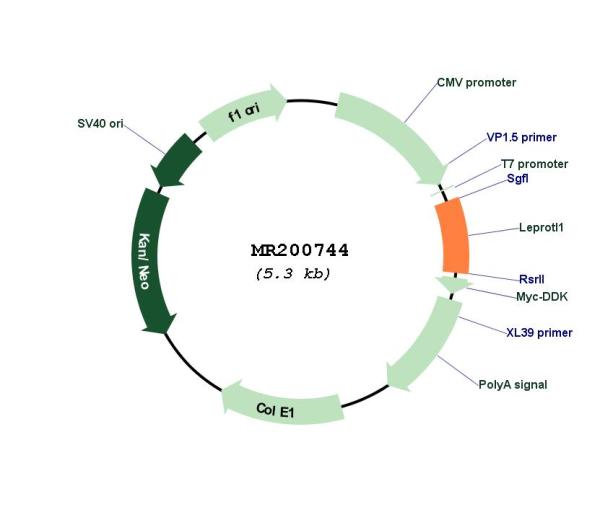 Circular map for MR200744