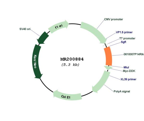 Circular map for MR200884