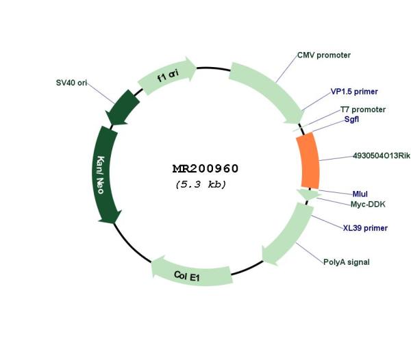 Circular map for MR200960