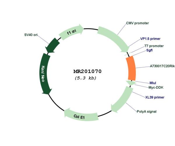 Circular map for MR201070