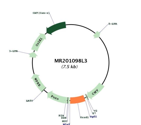 Circular map for MR201098L3