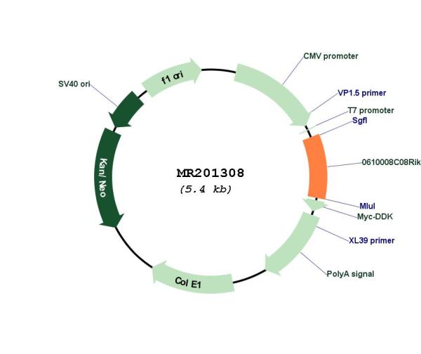 Circular map for MR201308