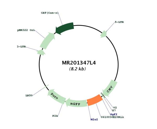 Circular map for MR201347L4