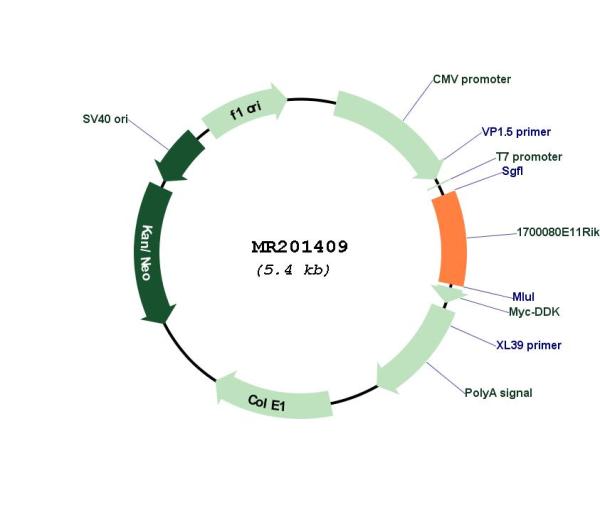 Circular map for MR201409
