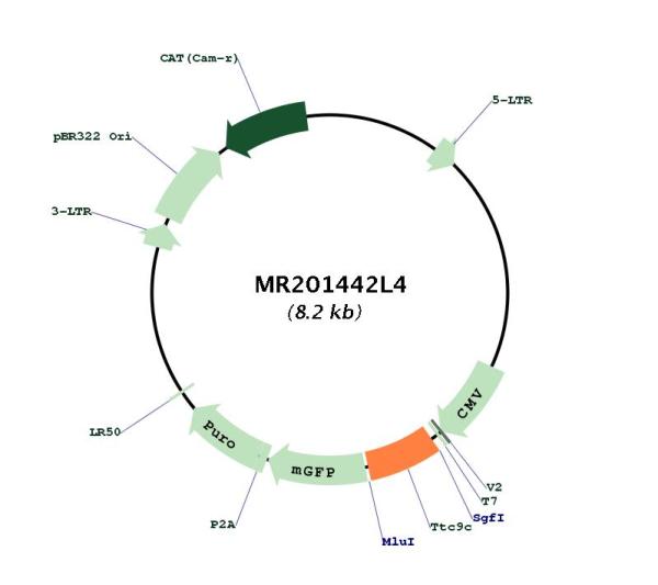 Circular map for MR201442L4
