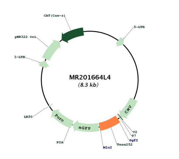 Circular map for MR201664L4